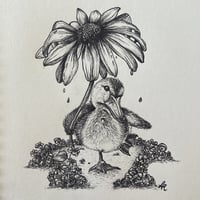 Image 2 of Betsy the Duckling 