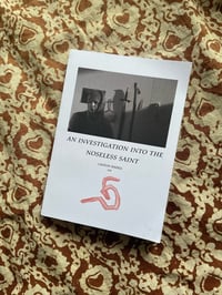 Image 1 of 'An investigation into The Noseless Saint' publication