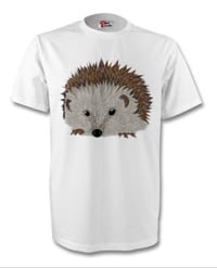 Image 1 of Hedgehogs