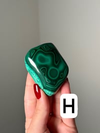 Image 8 of MEDIUM MALACHITE FREEFORMS