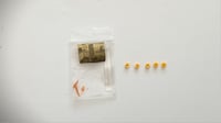 Image 1 of TANG ORANGE- bushings