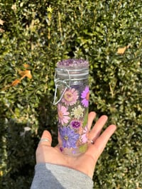 Image 4 of Andromeda