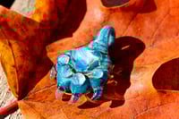 Image 4 of Ocean Paw #2