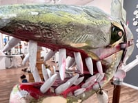 Image 8 of Walter- David Marks