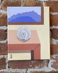 Image 1 of Single Moonsnail Still Life