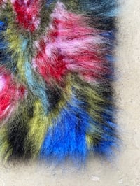 Image 4 of Elefantenohr