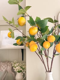 Image 2 of SALE!The Amafli Lemon Stems ( 3 included )