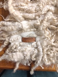 Image 4 of Curly Wool Throw