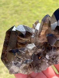 Image 6 of Smoky Quartz Crystal Points Cluster | Brazil #2970