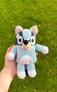 Image 1 of Blue Heeler Dog