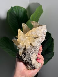 Image 2 of XXL SWEETWATER CALCITE WITH PYRITE -MISSOURI- PORCUPINE POCKET 2025 C
