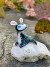 Naiad