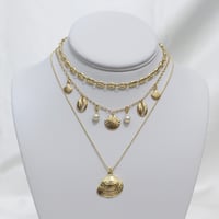 Image 2 of Seashell Necklace 