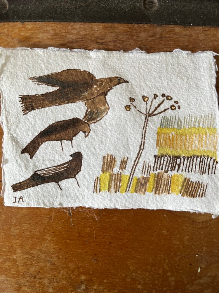 Image of Three birds in a stubble field. 