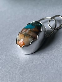 Image 6 of Oyster Turquoise 