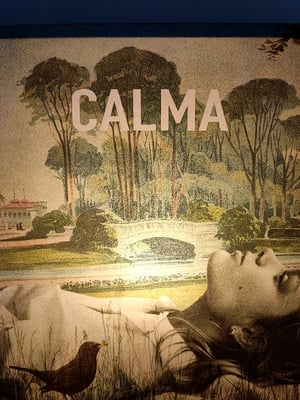 Image of Calma primavera.