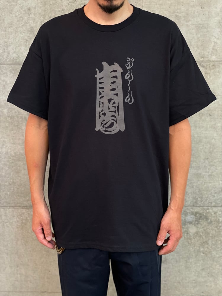 Image of New color Bunshin Horitoshi Kaitenryu logo T