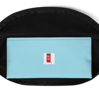 Image 5 of MISHA FANNY PACK