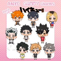 Haikyuu!! Gummies