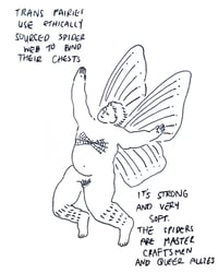 Trans Fairy Binder