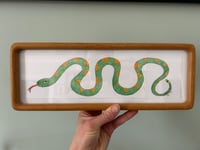 Image 1 of Green Snake (framed)