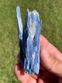 Image 3 of Blue Kyanite & Quartz Specimen #1897
