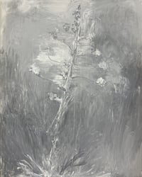 the agave flower