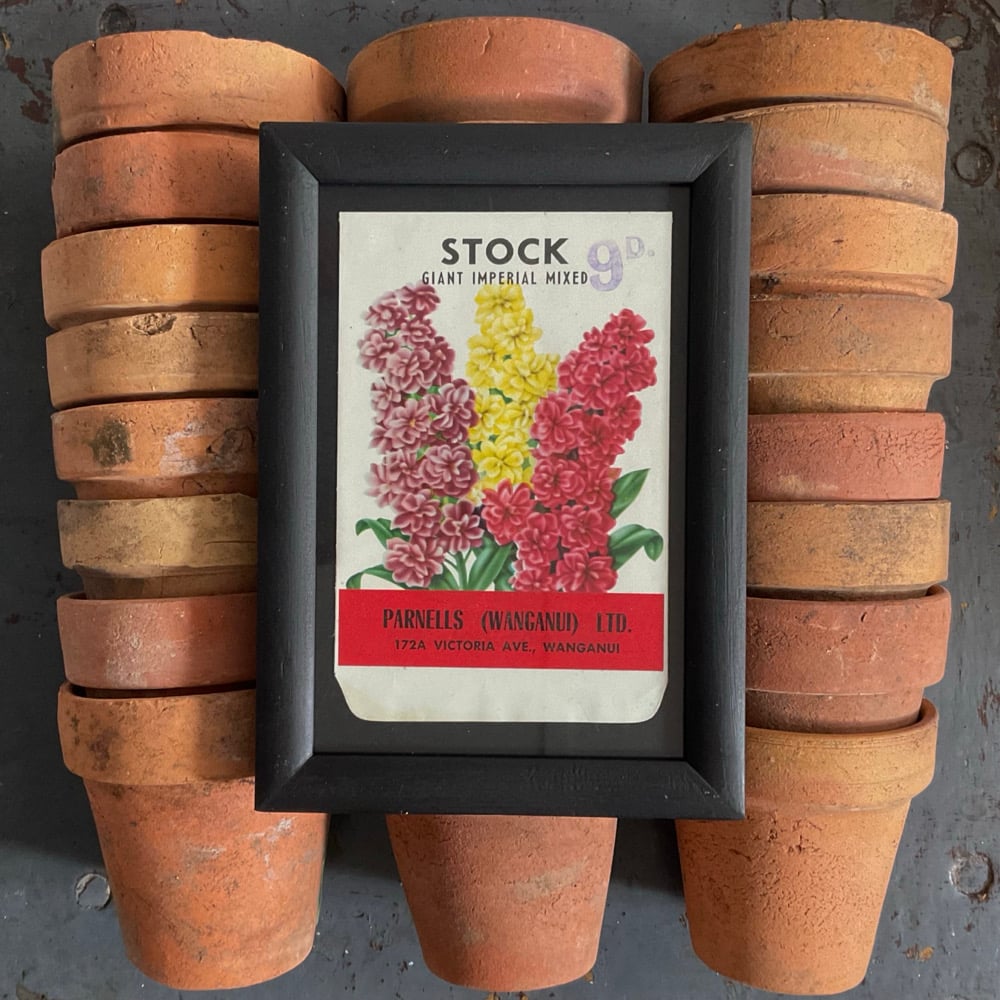 Image of Stock