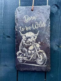 Image 1 of Reclaimed Slate Signs