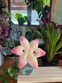 Lily Flower Bud - Yellow