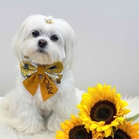 Image 1 of PERSONALIZED EMBROIDERED SUNFLOWER BOW
