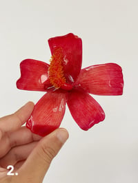 Image 4 of Flor de Maga 2.0 | Hair Clip 1 & 2
