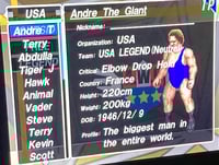 Image 7 of Fire Pro Wrestling Returns CAWs