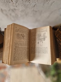 Image 4 of Le guide pratique du jardinier