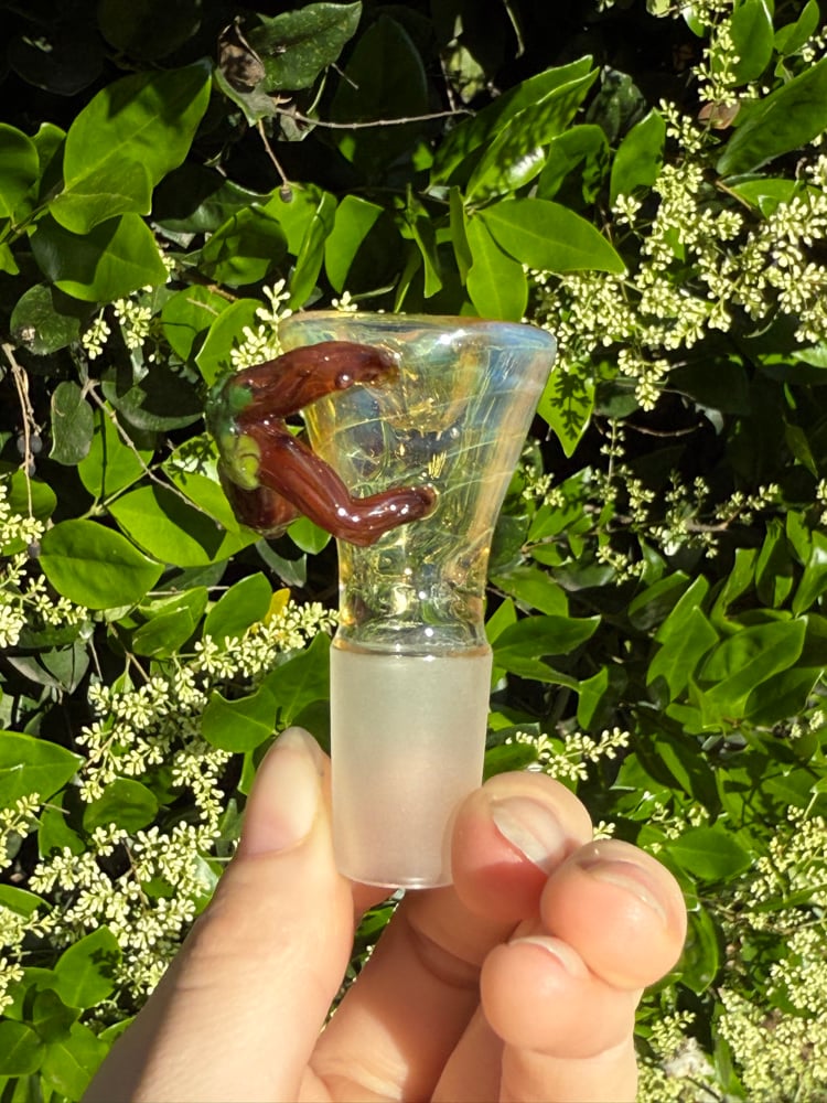 Image of Fantasy Forest 18 mm Slide  #1