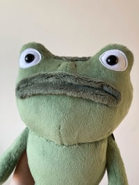 Image 2 of Medium Frog Of Many Names Plushie - OTGW - made to order