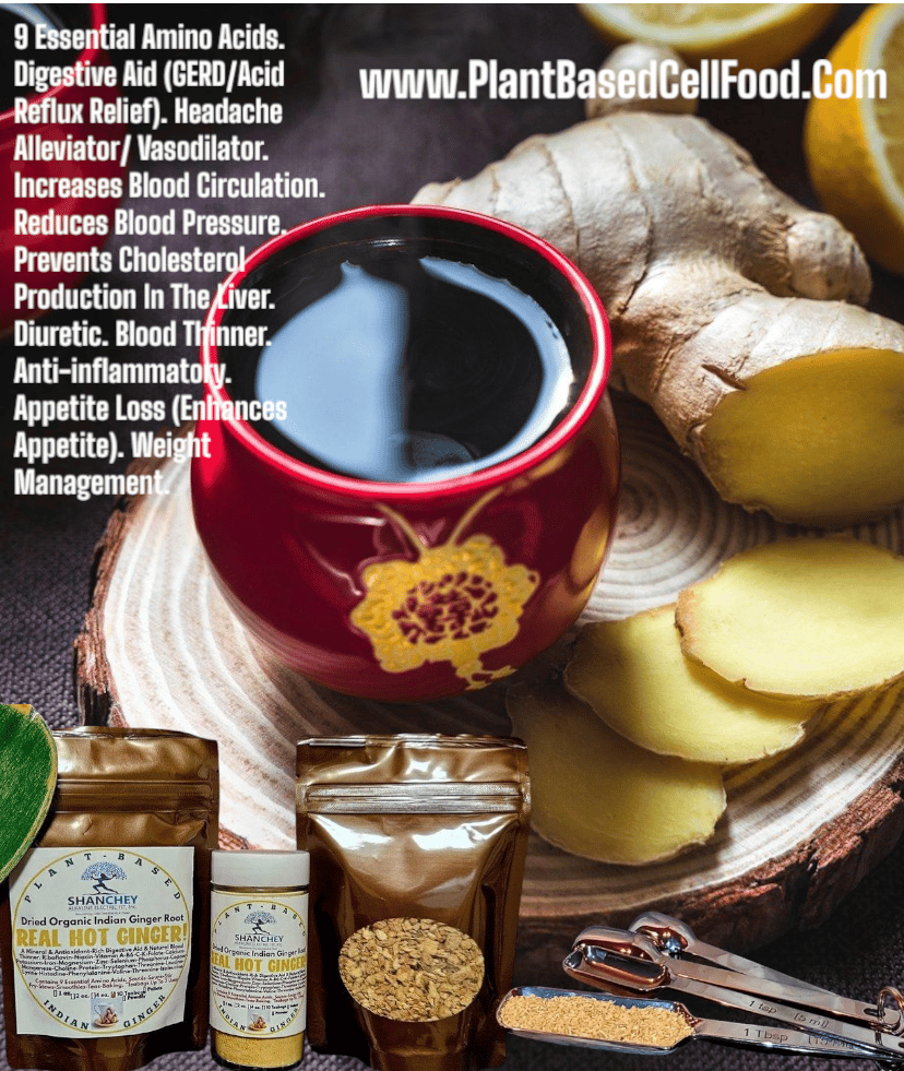 REAL HOT GINGER! Dried Indian Ginger Root-Circulation-Blood Thinner-Digestion-Headache-GERD/Reflux