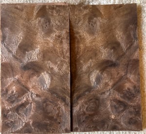 Image of Walnut Burr 12 Sheets