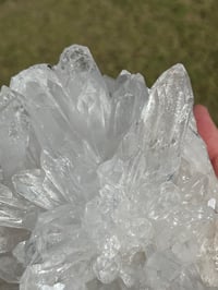Image 5 of Clear Quartz Points Cluster #2256