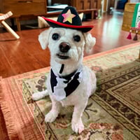 Image 1 of Moo Bandana