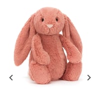 Bashful Sorrel Bunny - 1 per customer 