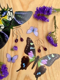 Image 9 of Simple Amethyst Earrings