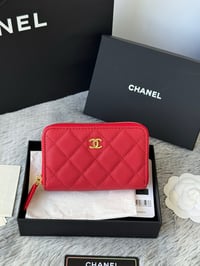Image 20 of CC Short Zipper