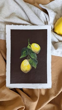 Image 1 of A branch of lemons 