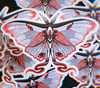 Luna Moth Omen | Vinyl Sticker