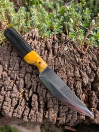 Image 1 of COMPANION #1