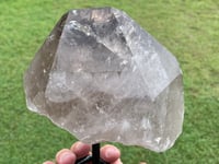 Image 16 of Smoky Quartz With Rainbows On Display Stand Statement Piece #1456