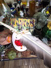 Image 17 of StRange Agave Jupiter JaR