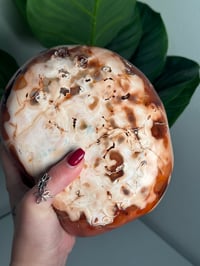 Image 7 of XXL MOSSY CARNELIAN FREEFORM -MADAGASCAR- 