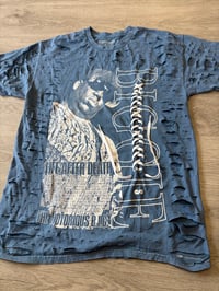 Image 1 of Large blue bigger lace destroyed 